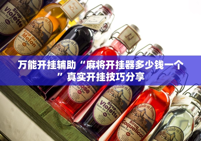 万能开挂辅助“麻将开挂器多少钱一个”真实开挂技巧分享