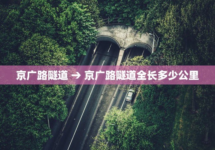 玩家必搜“新二号大厅有没有挂”可以开挂作弊