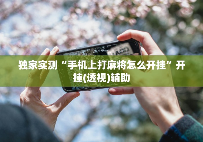 独家实测“手机上打麻将怎么开挂	”开挂(透视)辅助