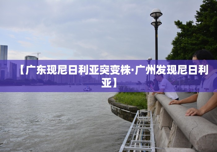 实测!“手机麻将挂在哪里购买”其实确实有挂