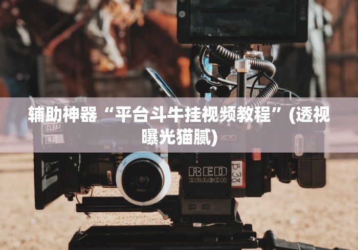 实测教程“富豪麻将有挂吗可以开挂吗”开挂神器{透视辅助}全揭秘
