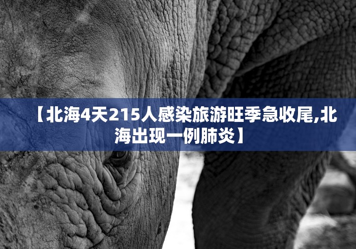 实测教程“白金岛长沙麻将有挂吗”(透视)开挂详细教程