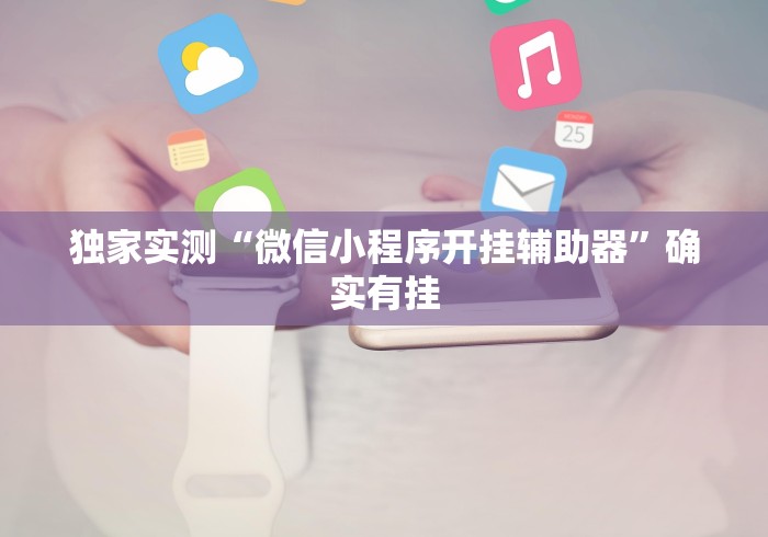 独家实测“微信小程序开挂辅助器”确实有挂