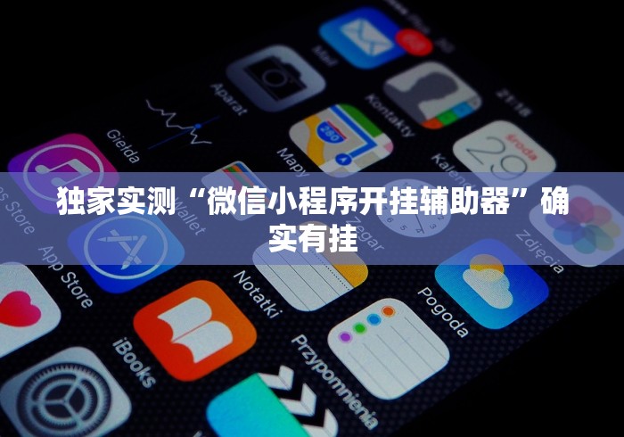 独家实测“微信小程序开挂辅助器	”确实有挂