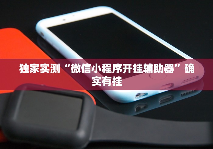 独家实测“微信小程序开挂辅助器”确实有挂