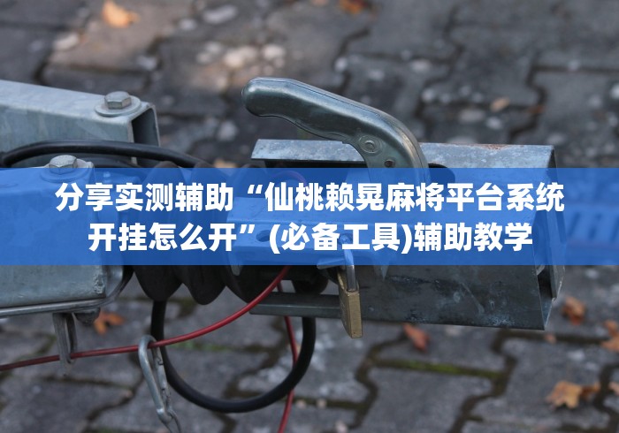 分享实测辅助“微乐麻将自建房输赢规律”详细开挂安装教程
