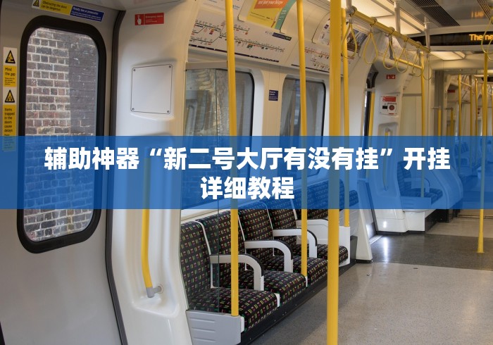 辅助神器“新二号大厅有没有挂”开挂详细教程