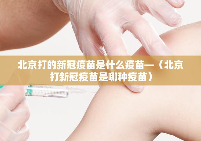 玩家必搜“天天爱惯蛋有挂吗”通用版下载教程