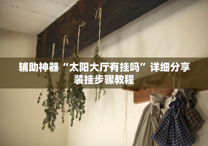 辅助神器“太阳大厅有挂吗”详细分享装挂步骤教程