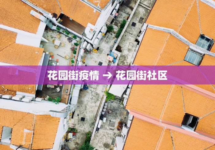 辅助神器“手机打麻将有挂吗想买一个”详细透视辅助教程官方正版下载