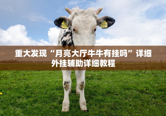 重大发现“月亮大厅牛牛有挂吗”详细外挂辅助详细教程