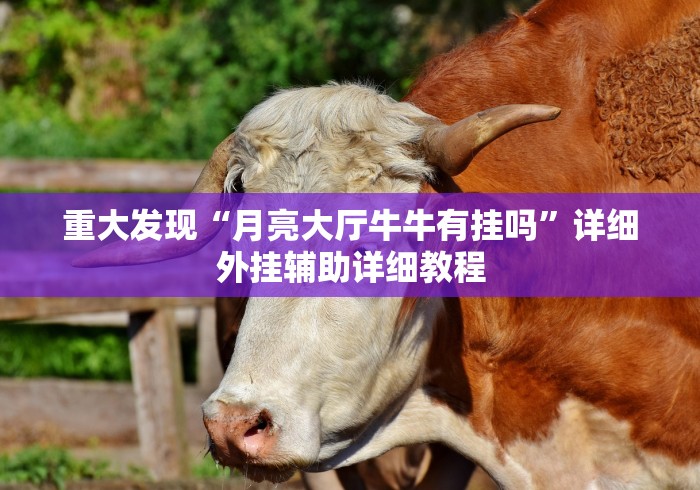 重大发现“月亮大厅牛牛有挂吗”详细外挂辅助详细教程