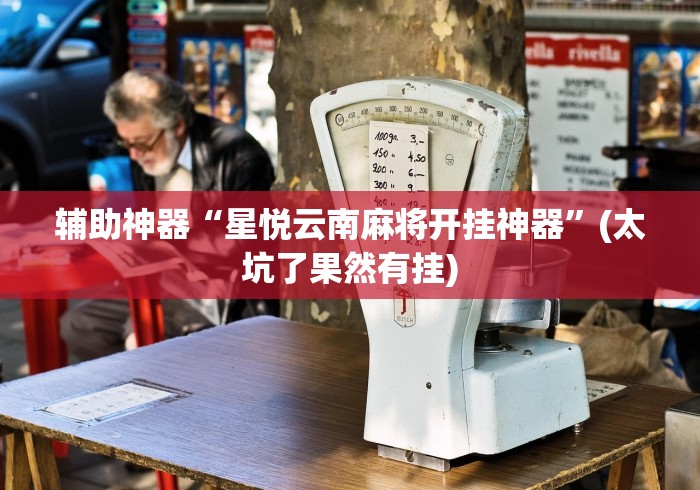 辅助神器“星悦云南麻将开挂神器”(太坑了果然有挂)