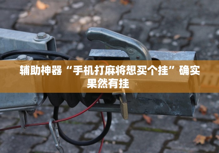 辅助神器“手机打麻将想买个挂”确实果然有挂 