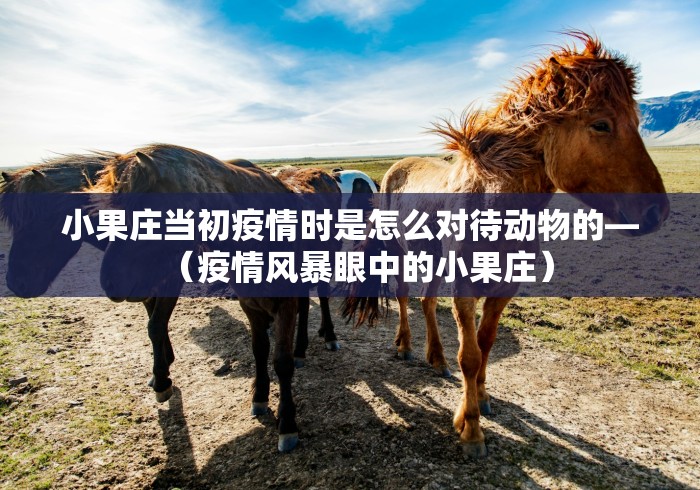 助赢神器“天天爱贯蛋怎么开挂”开挂(透视)辅助教程