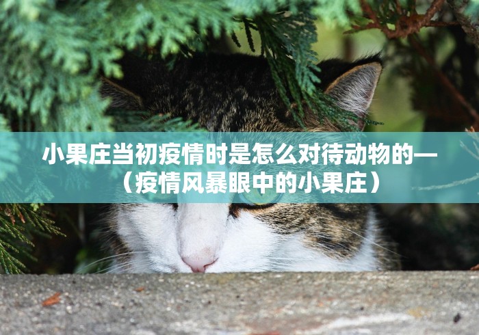 教程开挂辅助“阿拉娱乐十三张有挂吗	”附开挂脚本详细教程