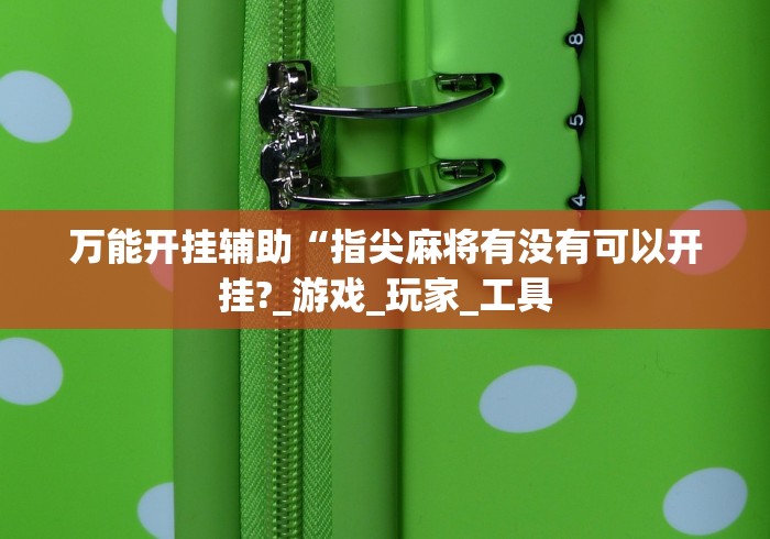 万能开挂辅助“指尖麻将有没有可以开挂?_游戏_玩家_工具 万能开挂辅助“指尖麻将有没有可以开挂?_游戏_玩家_工具