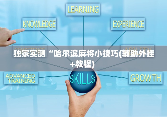 独家实测“哈尔滨麻将小技巧(辅助外挂+教程) 