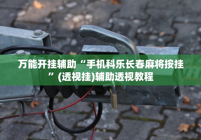 万能开挂辅助“手机科乐长春麻将按挂”(透视挂)辅助透视教程