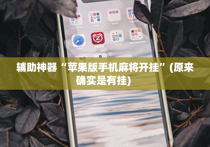 辅助神器“苹果版手机麻将开挂”(原来确实是有挂) 