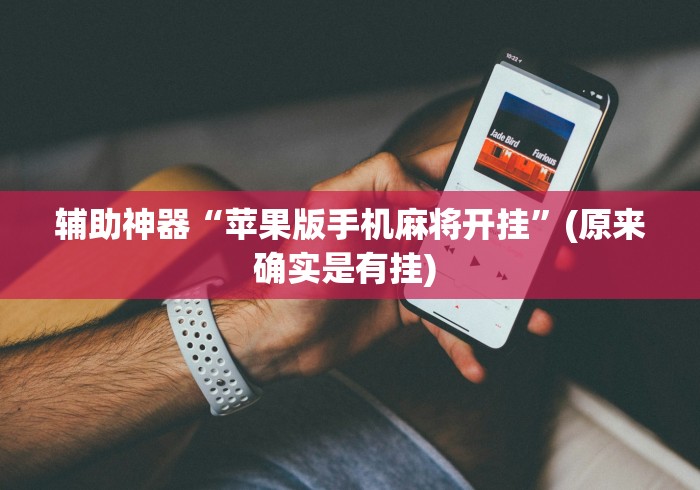 辅助神器“苹果版手机麻将开挂”(原来确实是有挂) 