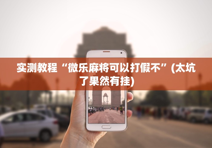 实测教程“微乐麻将可以打假不	”(太坑了果然有挂)