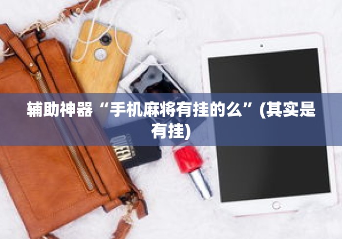 辅助神器“手机麻将有挂的么”(其实是有挂)
