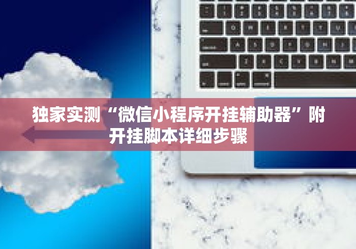 独家实测“微信小程序开挂辅助器”附开挂脚本详细步骤