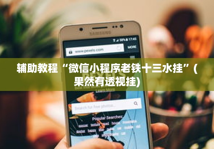 辅助教程“微信小程序老铁十三水挂”(果然有透视挂)