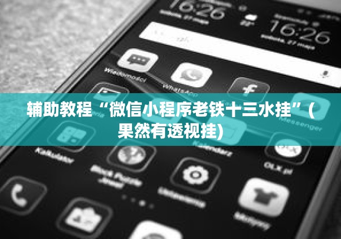辅助教程“微信小程序老铁十三水挂	”(果然有透视挂)