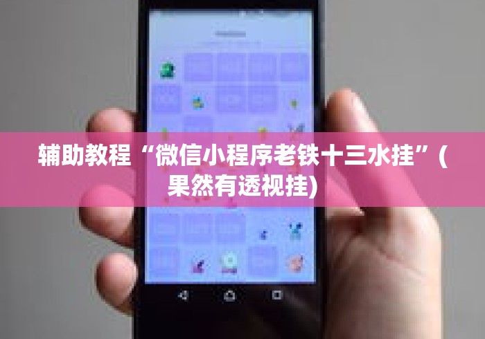 辅助教程“微信小程序老铁十三水挂”(果然有透视挂)
