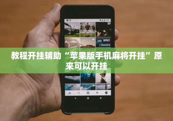 教程开挂辅助“苹果版手机麻将开挂”原来可以开挂