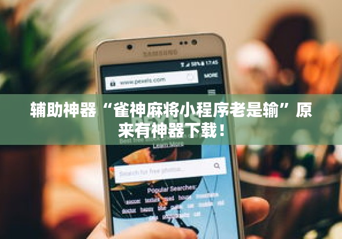 辅助神器“雀神麻将小程序老是输”原来有神器下载！