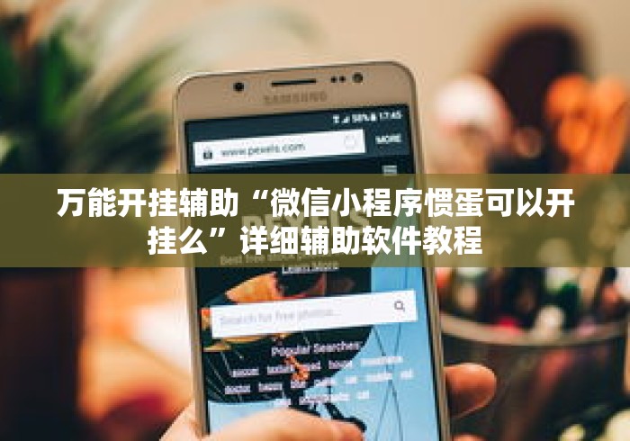 万能开挂辅助“微信小程序惯蛋可以开挂么”详细辅助软件教程