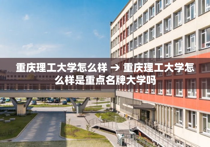 专家分析“微乐卡五星辅助器”开挂步骤方法