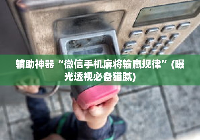 辅助神器“微信手机麻将输赢规律	”(曝光透视必备猫腻)