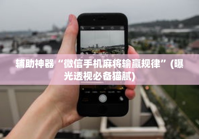 辅助神器“微信手机麻将输赢规律	”(曝光透视必备猫腻)