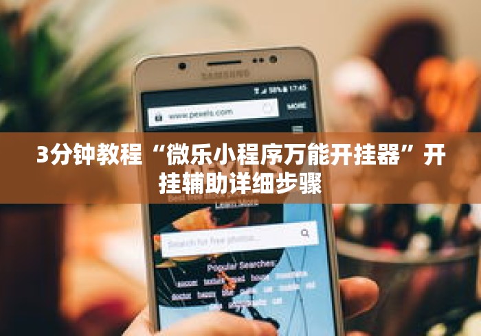 3分钟教程“微乐小程序万能开挂器”开挂辅助详细步骤