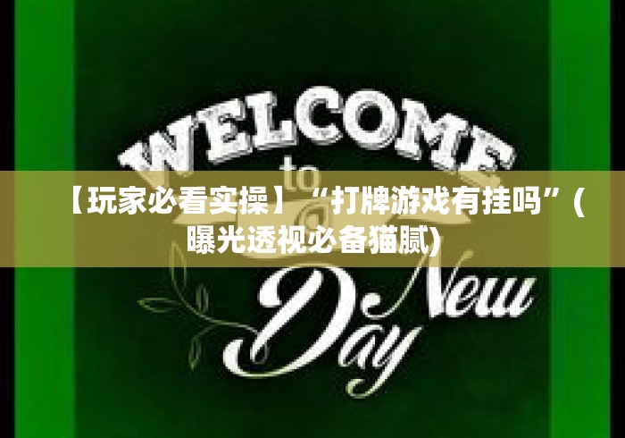 【玩家必看实操】“打牌游戏有挂吗	”(曝光透视必备猫腻)
