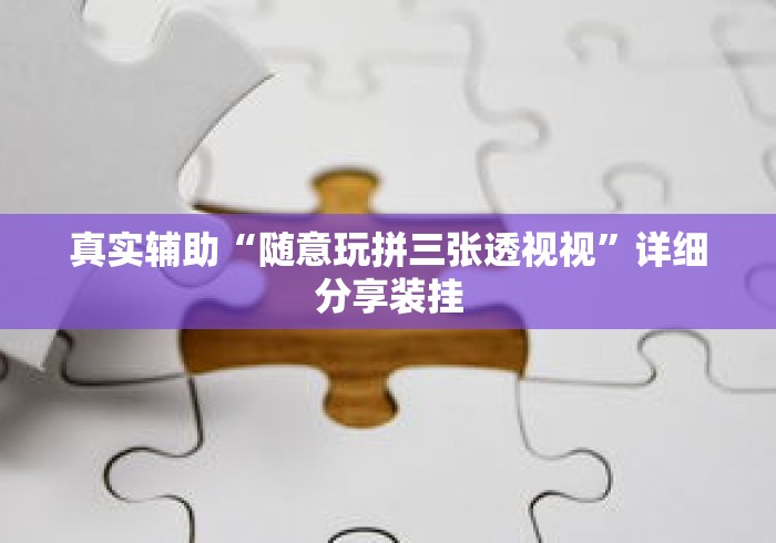 真实辅助“随意玩拼三张透视视”详细分享装挂