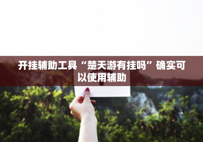 开挂辅助工具“楚天游有挂吗”确实可以使用辅助