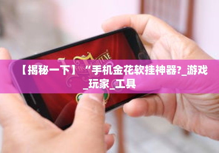 【揭秘一下】“手机金花软挂神器?_游戏_玩家_工具