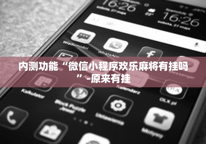 内测功能“微信小程序欢乐麻将有挂吗”-原来有挂