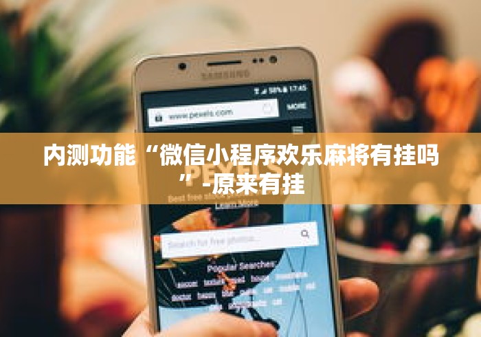 内测功能“微信小程序欢乐麻将有挂吗	”-原来有挂