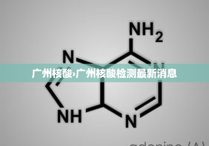 2026最新一代“手机金花软挂神器(详细透视开挂教程) 2026最新一代“手机金花软挂神器(详细透视开挂教程)