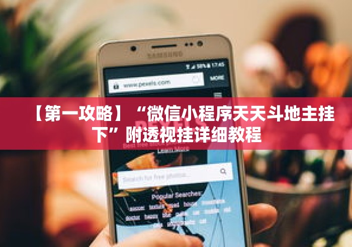 【第一攻略】“微信小程序天天斗地主挂下”附透视挂详细教程