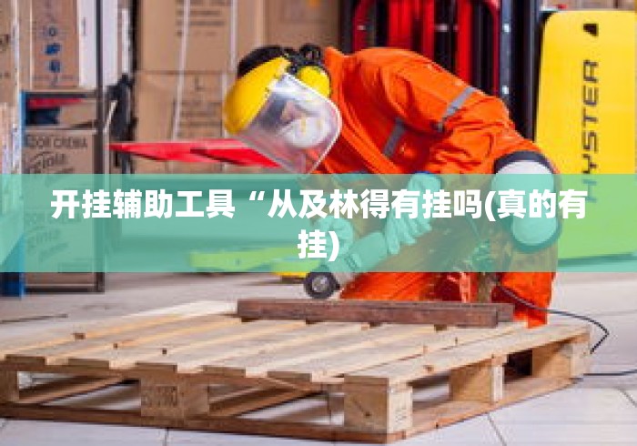 开挂辅助工具“从及林得有挂吗(真的有挂)