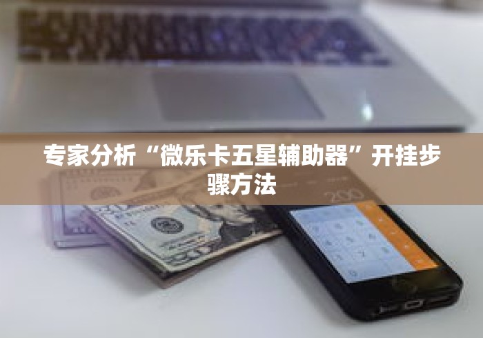 专家分析“微乐卡五星辅助器”开挂步骤方法