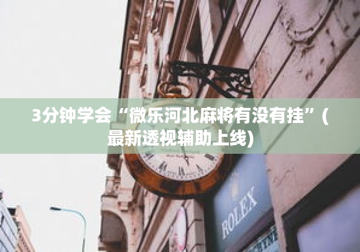 3分钟学会“微乐河北麻将有没有挂”(最新透视辅助上线)
