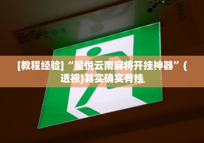 [教程经验]“星悦云南麻将开挂神器”(透视)其实确实有挂